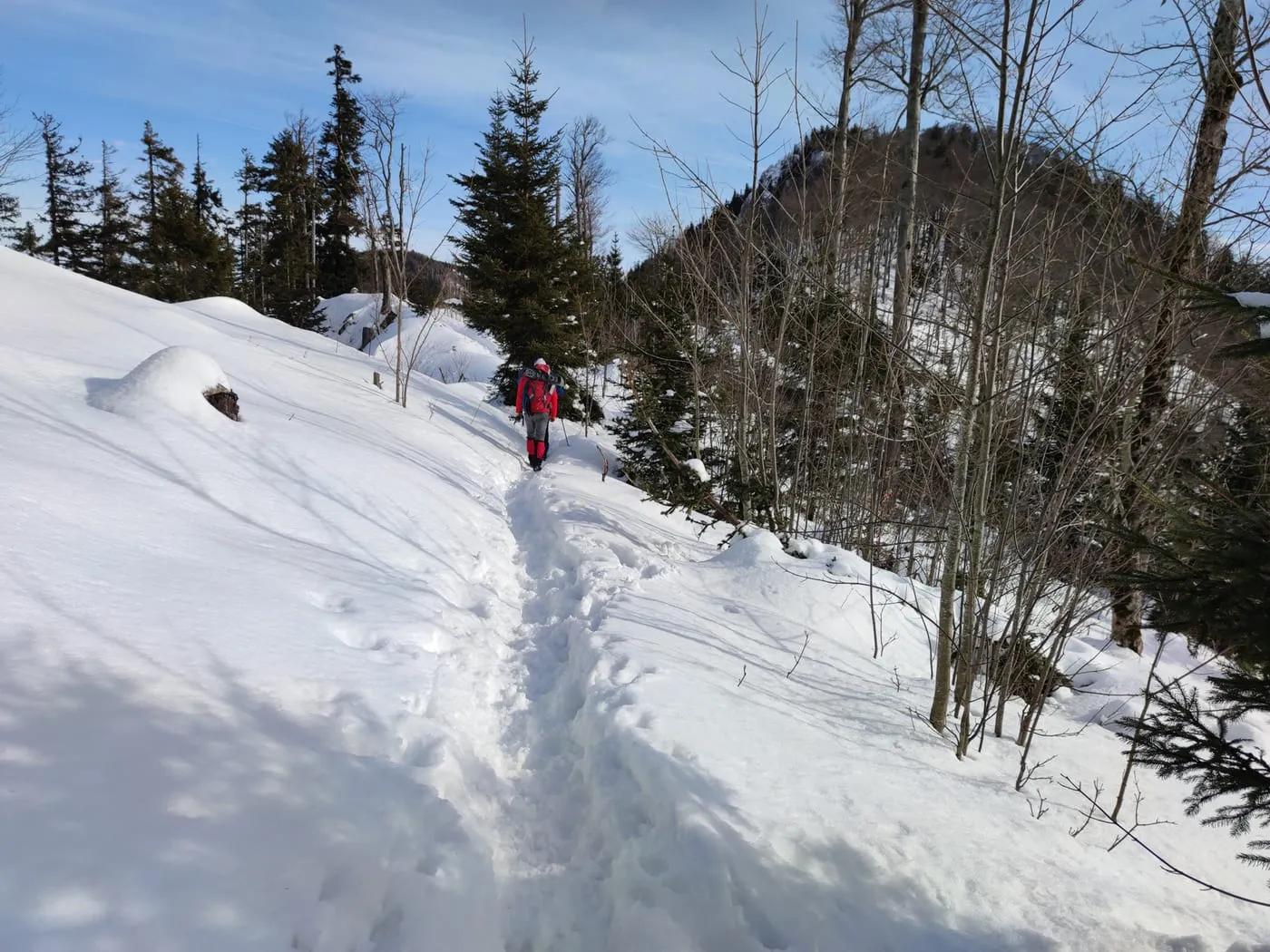3-Tausender Runde (Dürres Eck 1222m Gaisberg 1267m & Hochbuchberg 1273m)