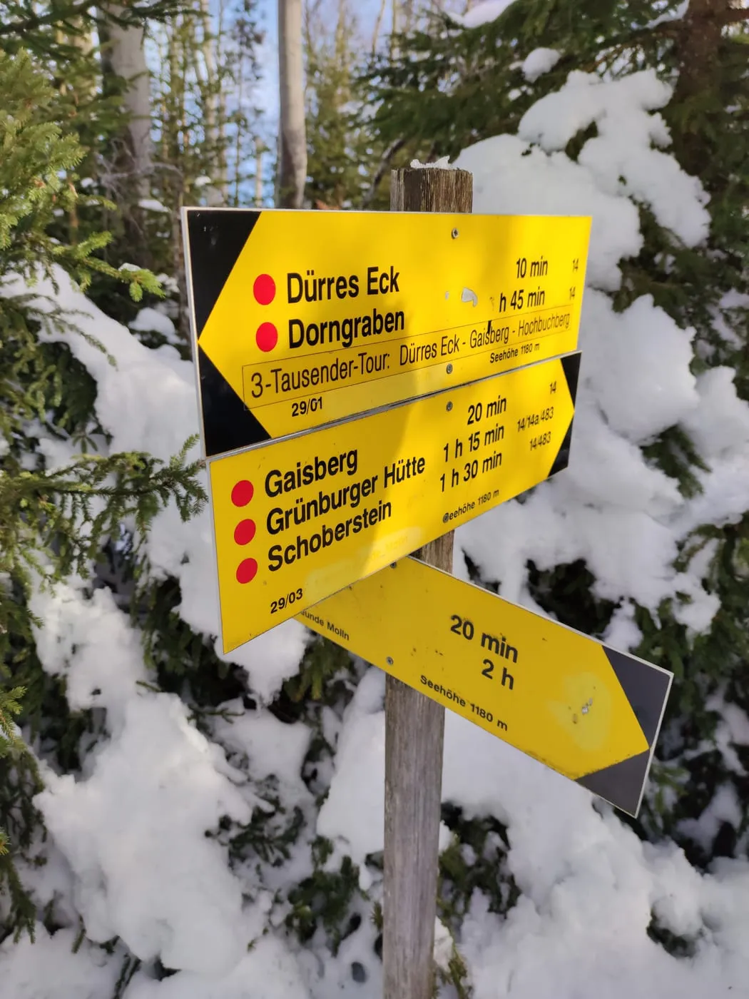 3-Tausender Runde (Dürres Eck 1222m Gaisberg 1267m & Hochbuchberg 1273m)