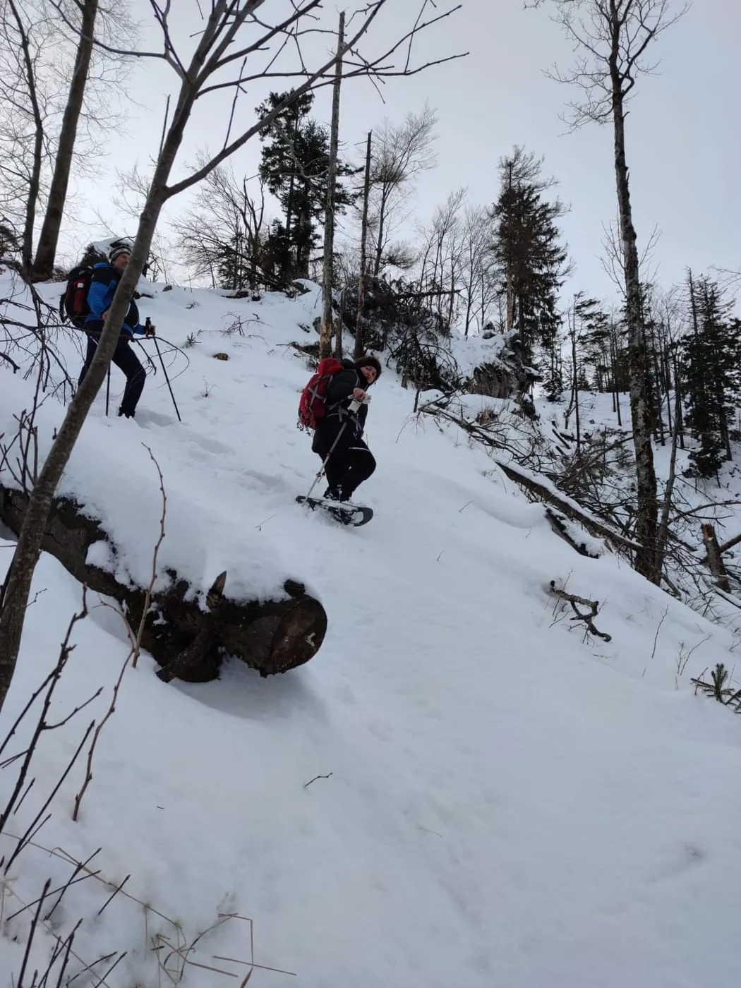 3-Tausender Runde (Dürres Eck 1222m Gaisberg 1267m & Hochbuchberg 1273m)