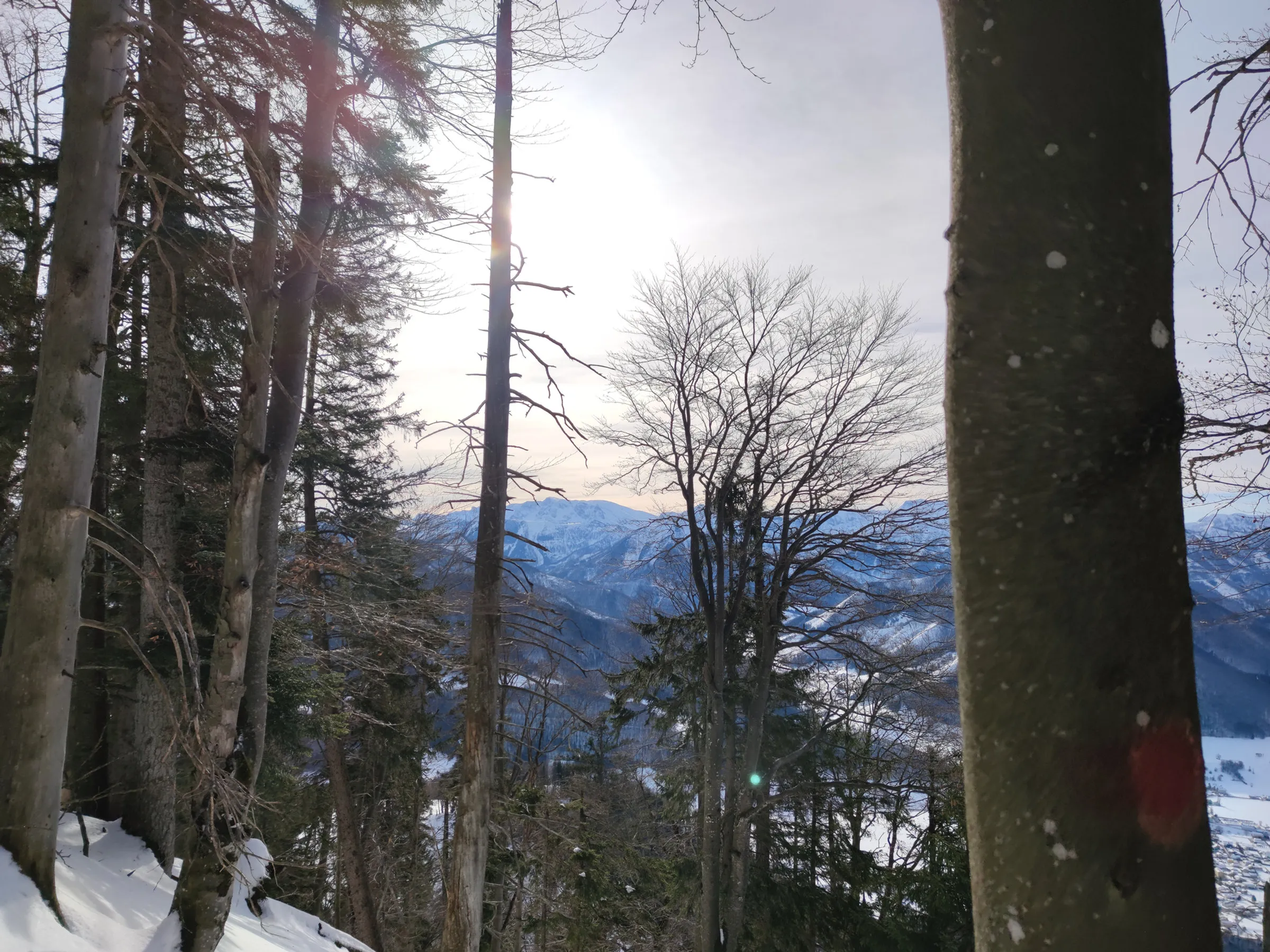 3-Tausender Runde (Dürres Eck 1222m Gaisberg 1267m & Hochbuchberg 1273m)