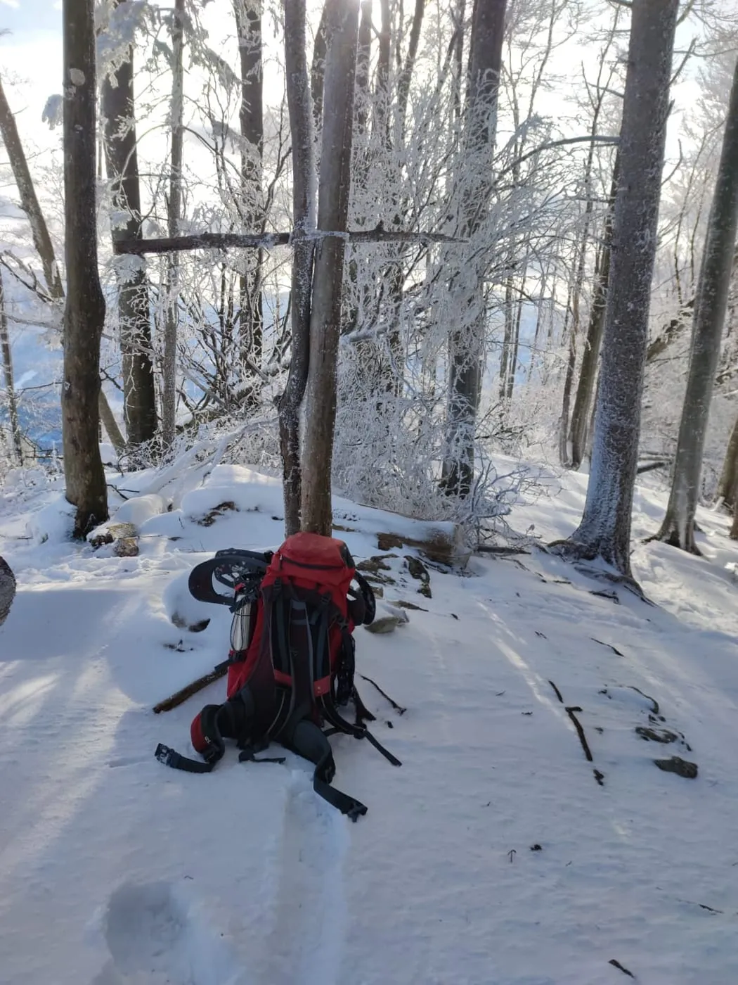 Hirschwaldstein (1095m) via Zederbauerspitz (1082m) zum Ochsenkogel (906m)