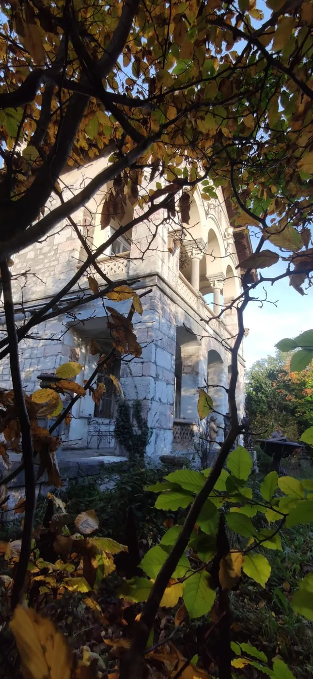 Blick zum Traunstein