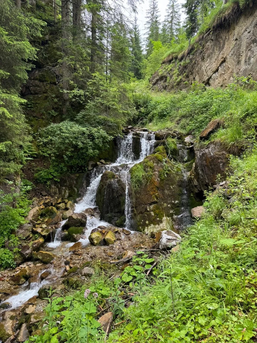 Urige Einkehr