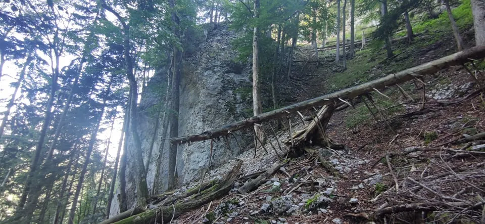 5 Gipfel Tour - Vom Zwillingskogel (1402m) zum Steineck (1418m)