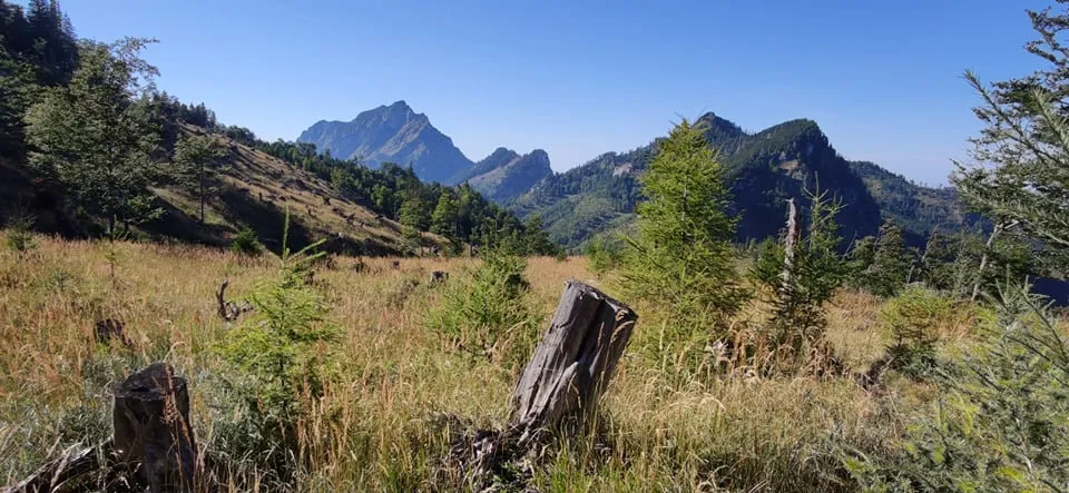 5 Gipfel Tour - Vom Zwillingskogel (1402m) zum Steineck (1418m)