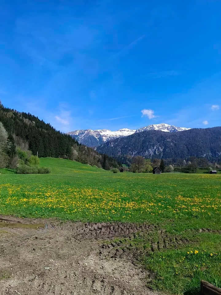Am Gunst (787m)