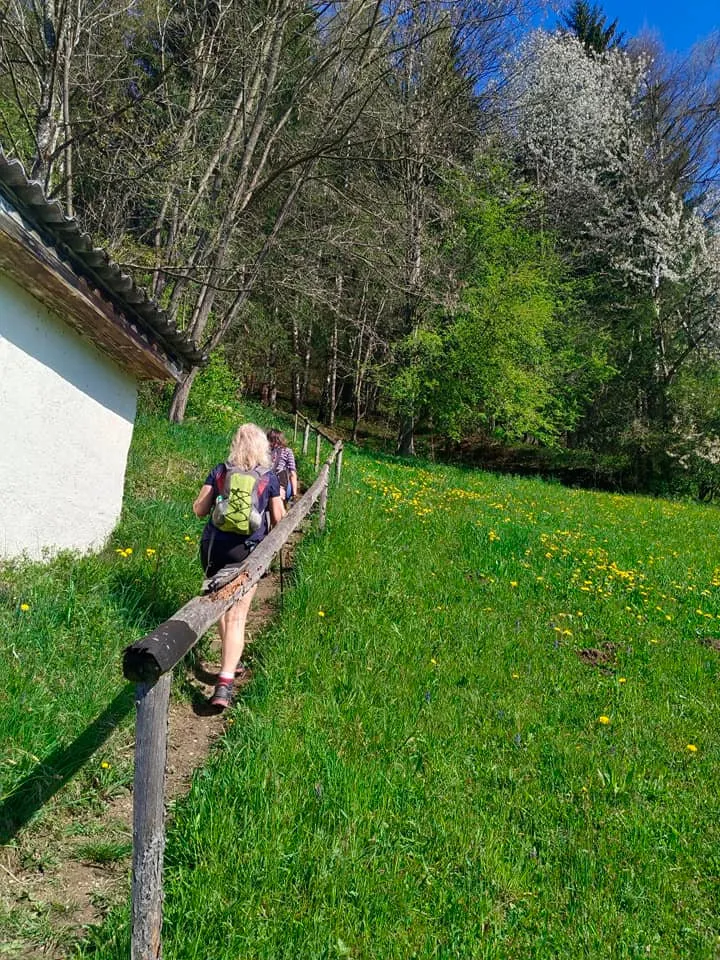 Am Gunst (787m)