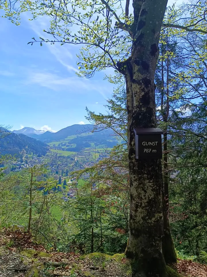 Am Gunst (787m)