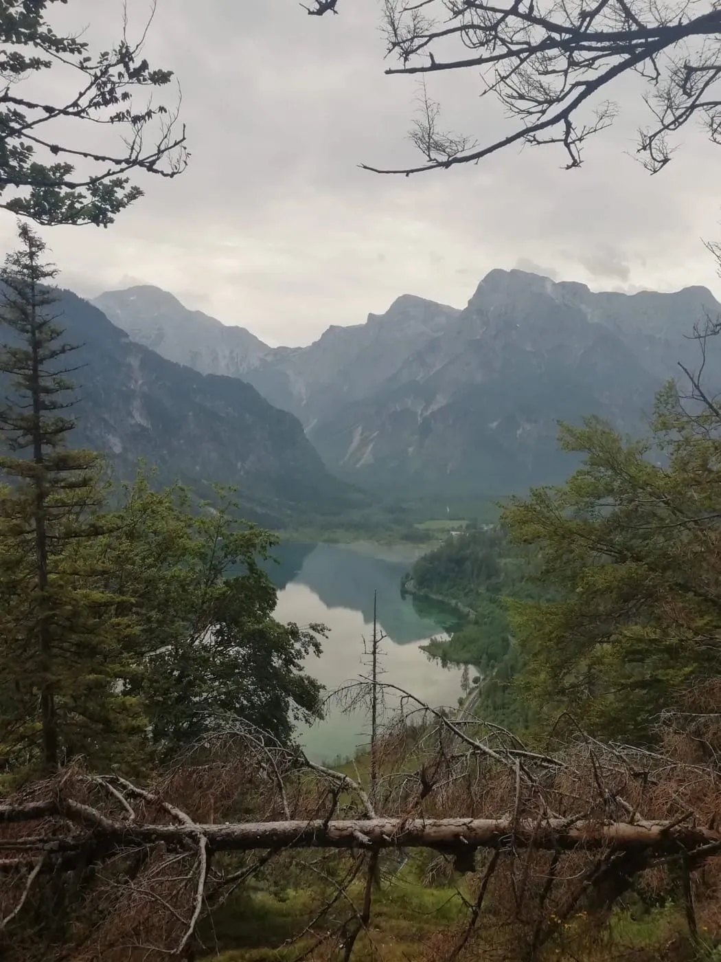 Ameisstein (776m) am Almsee