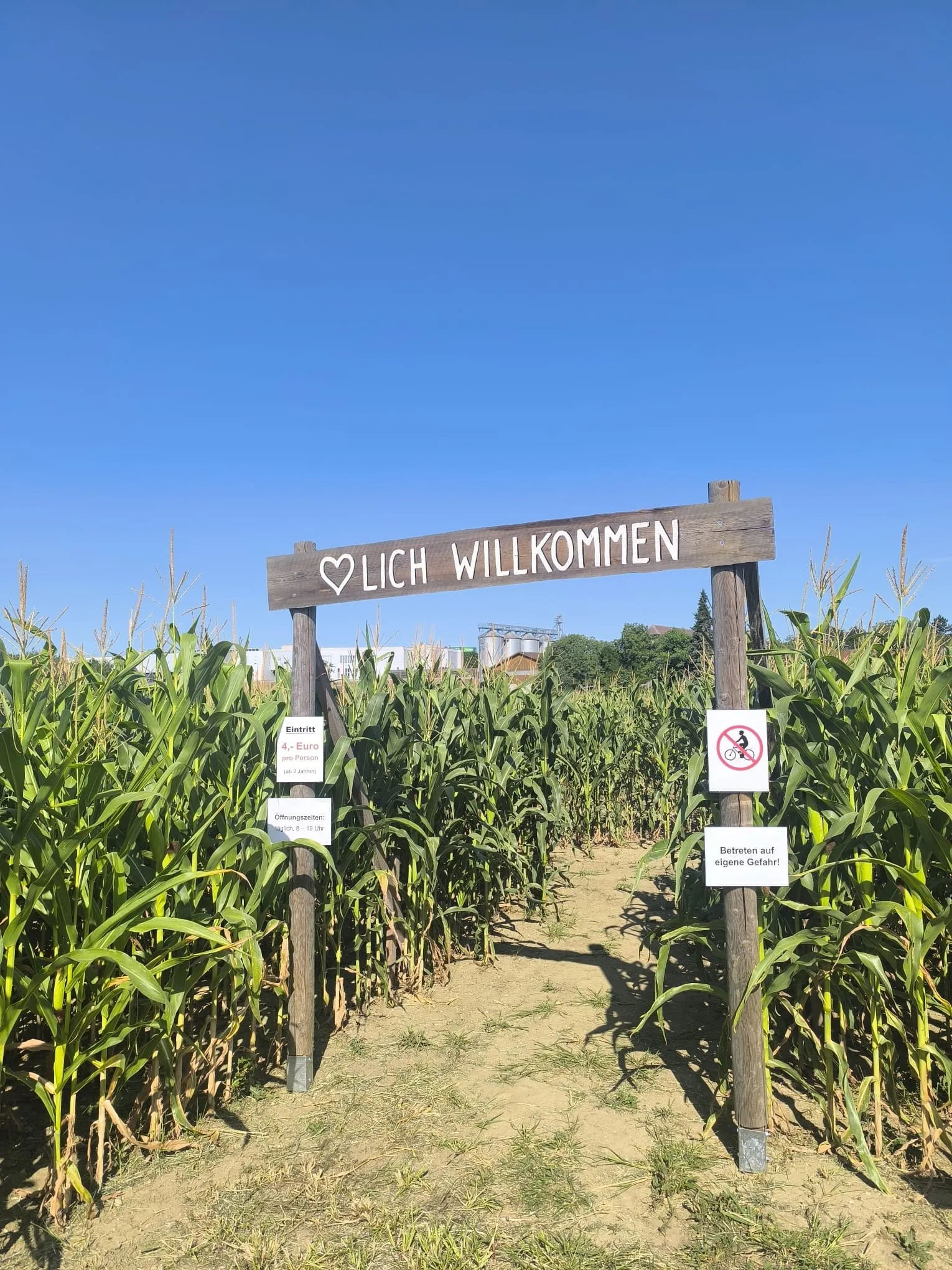 Eingangsbereich des Welser Maislabyrinths