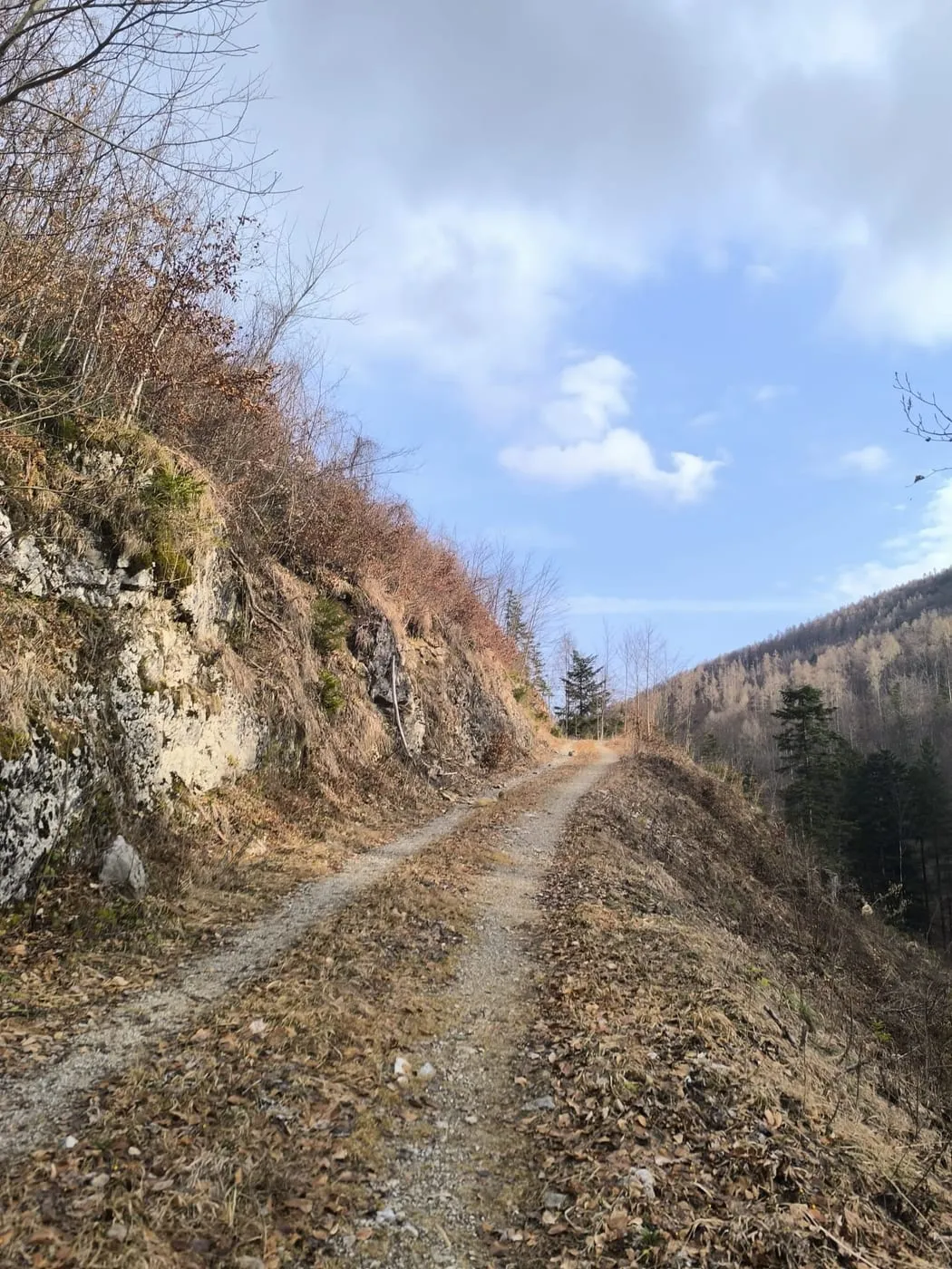 Blick zum Kunzenberg