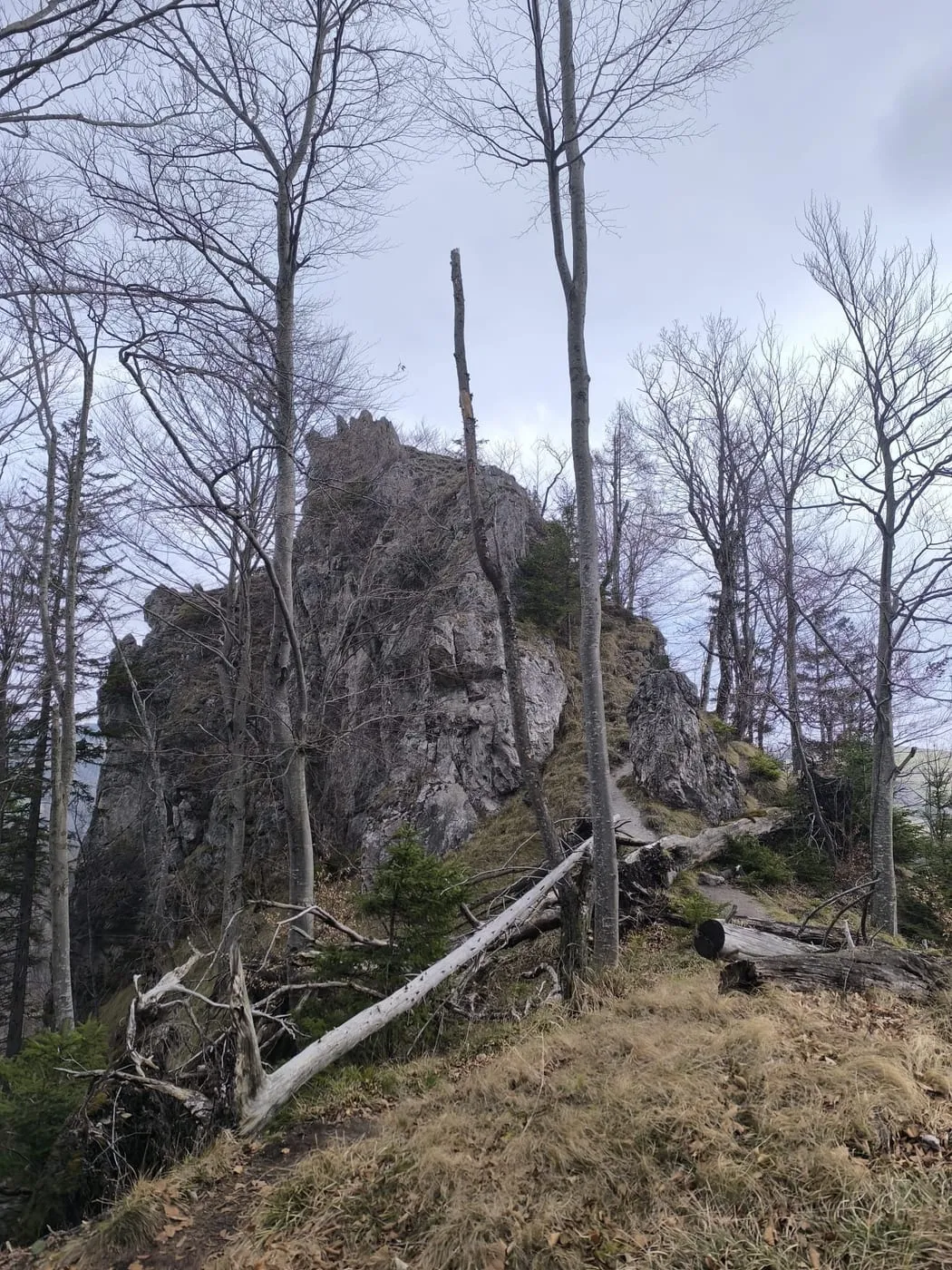 Beilstein