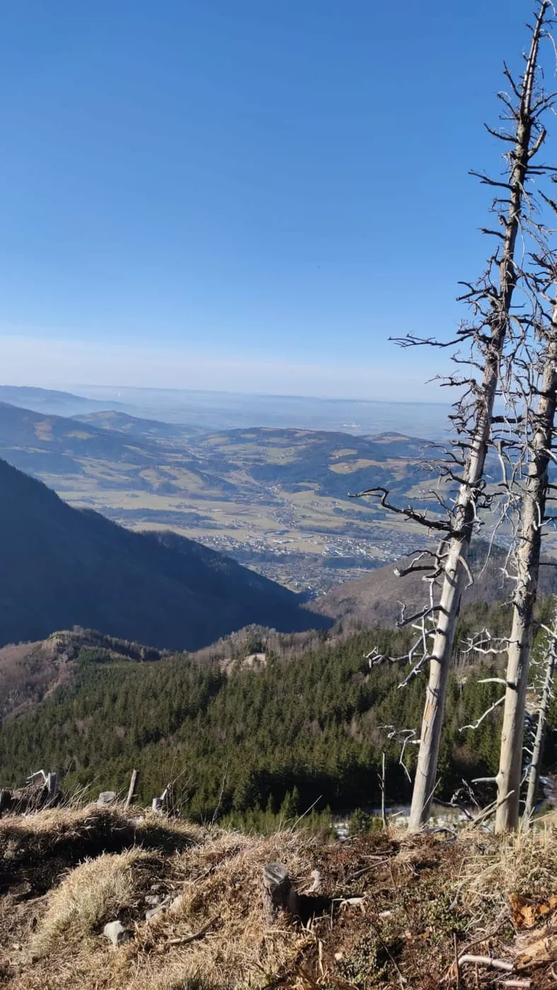 Vom Meisenfenster zur Bräumauer (808m) - Maisenkögerl (945m) - Hutkogel & Hochsalm (1405m)