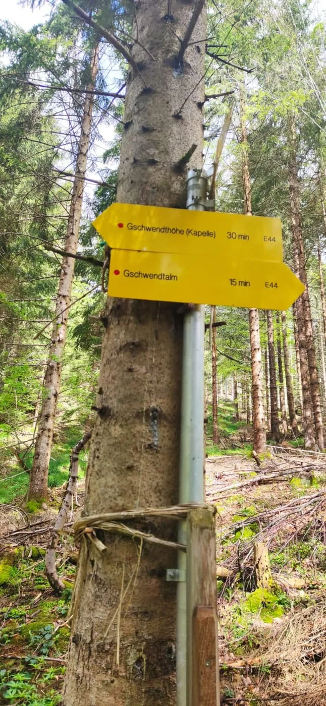 Brunnbacher Gamsstein (1275m) & Gamsstein Köpfl (1278m)