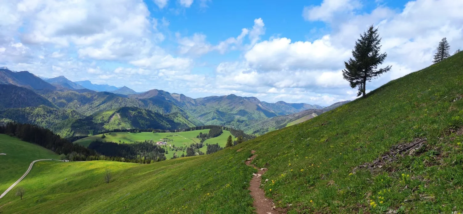 Brunnbacher Gamsstein (1275m) & Gamsstein Köpfl (1278m)