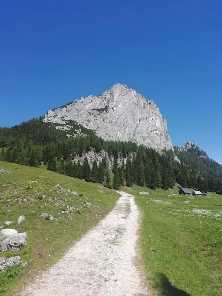 Brunnsteinersee & Teichlrunde auf der Wurzer Alm
