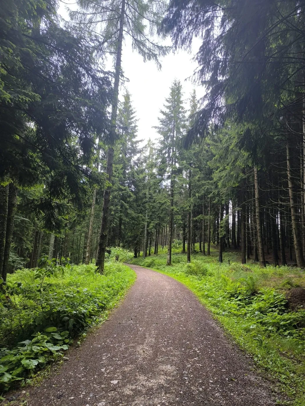 Hier gehts runter!