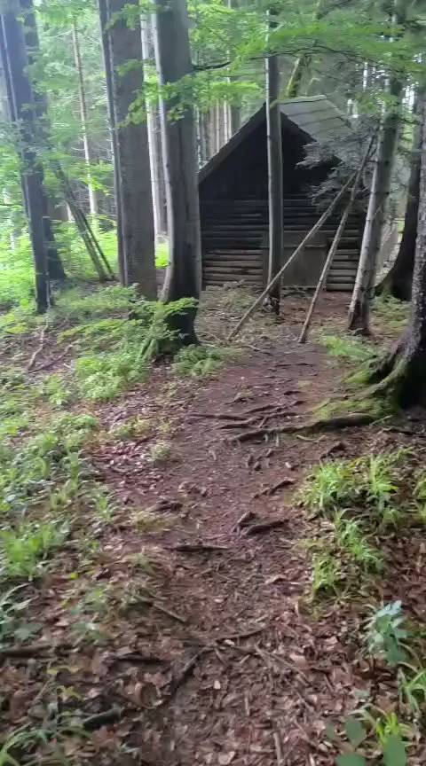 Kleiner Waldgipfel