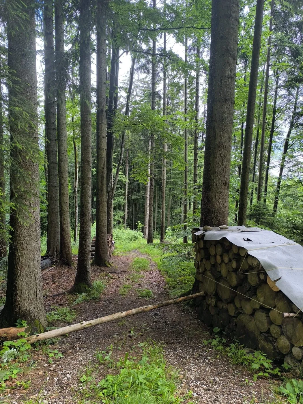 Gruselige Hütte