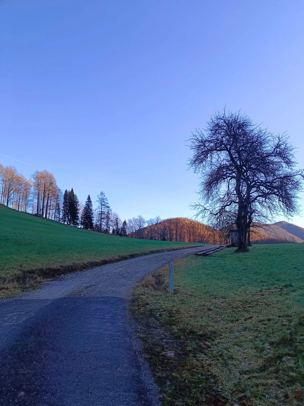 Denverkogel