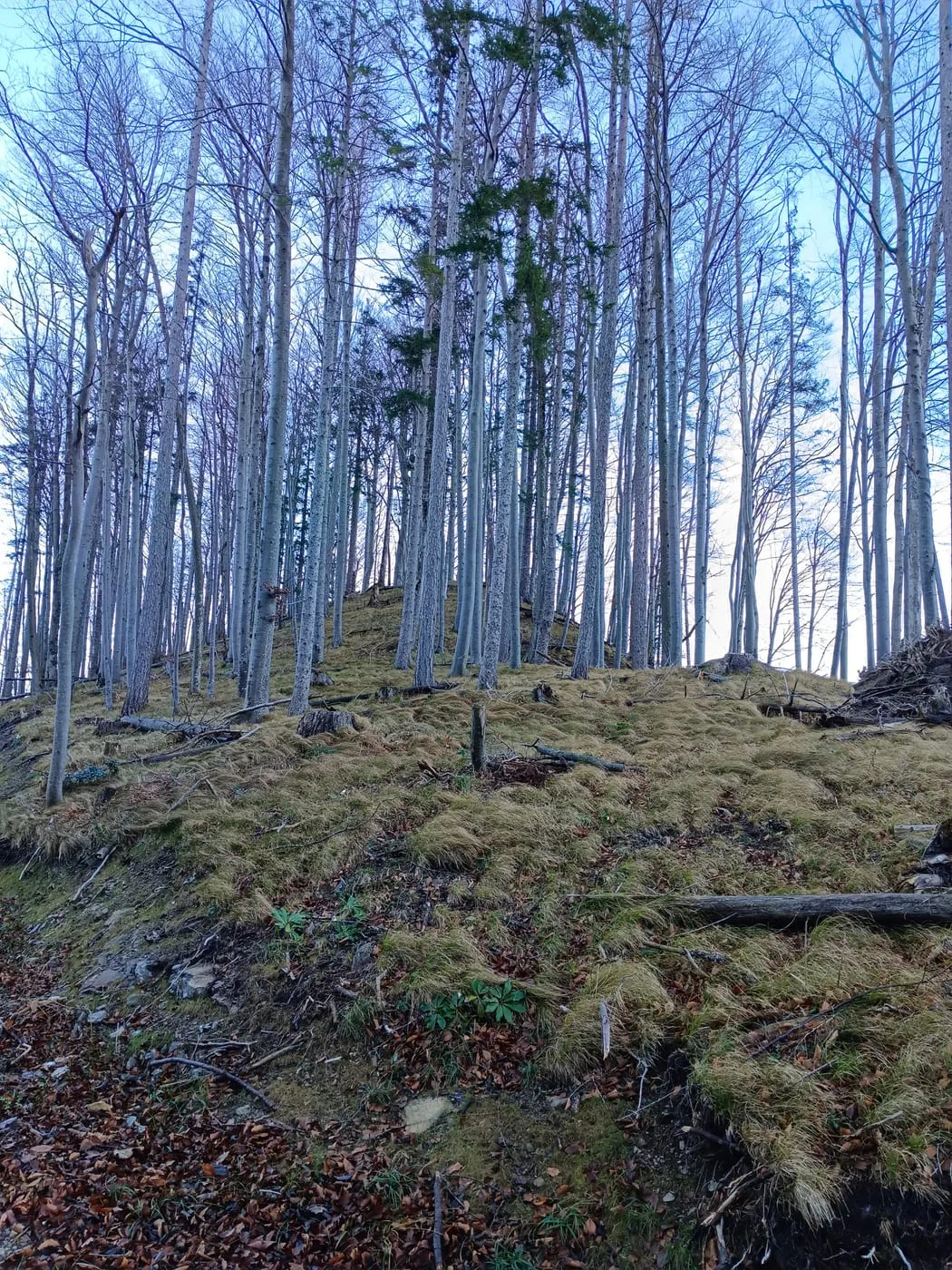 Weg