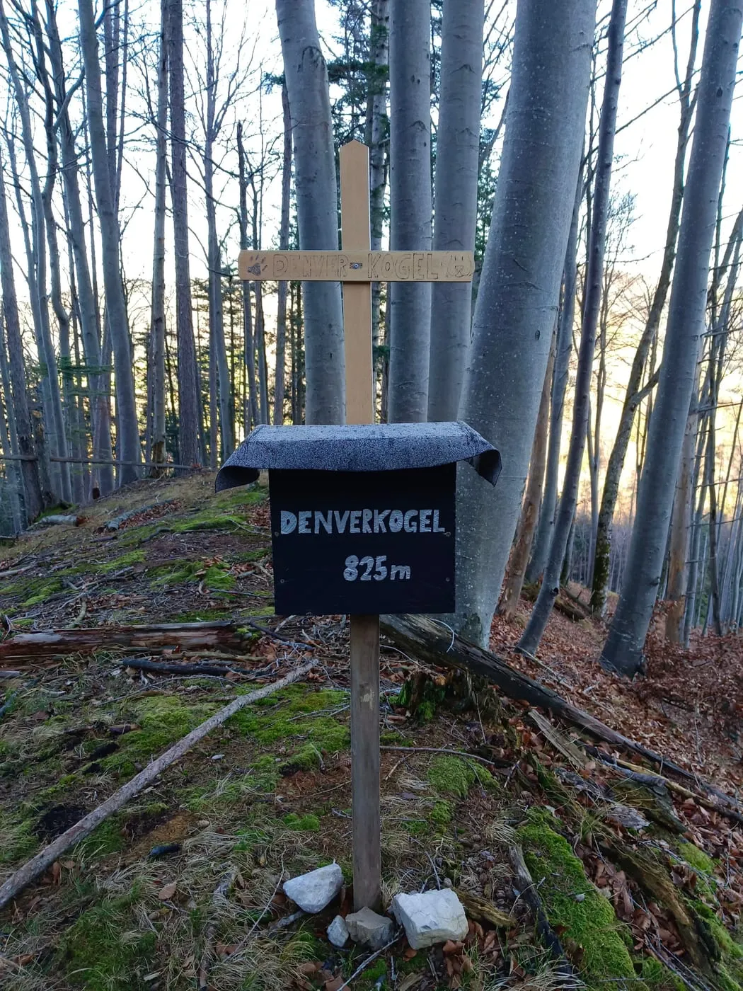Denverkogel 825m