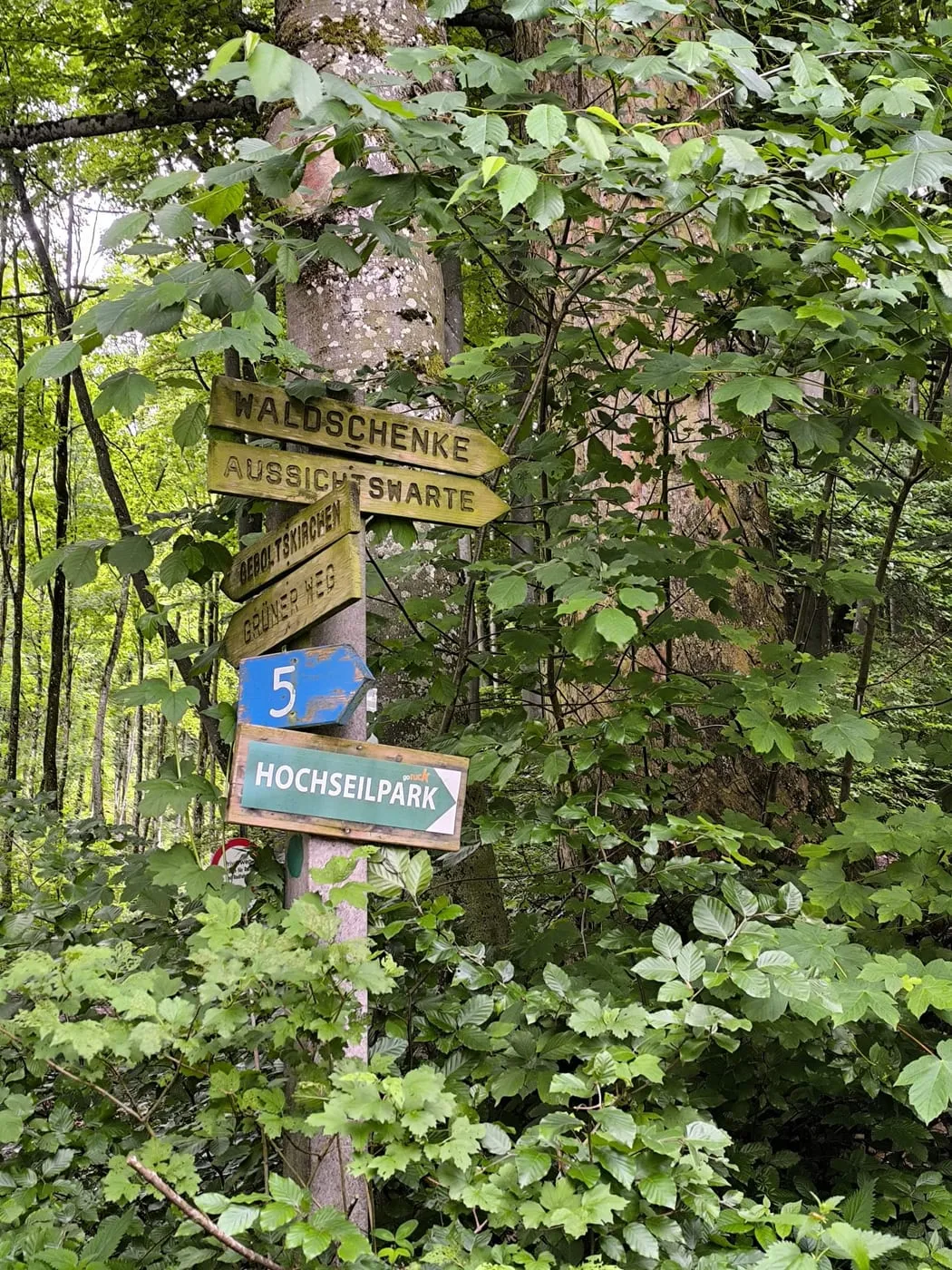 Der "Weg der Sinne" – ein Erlebnis für Groß und Klein auf der Luisenhöhe