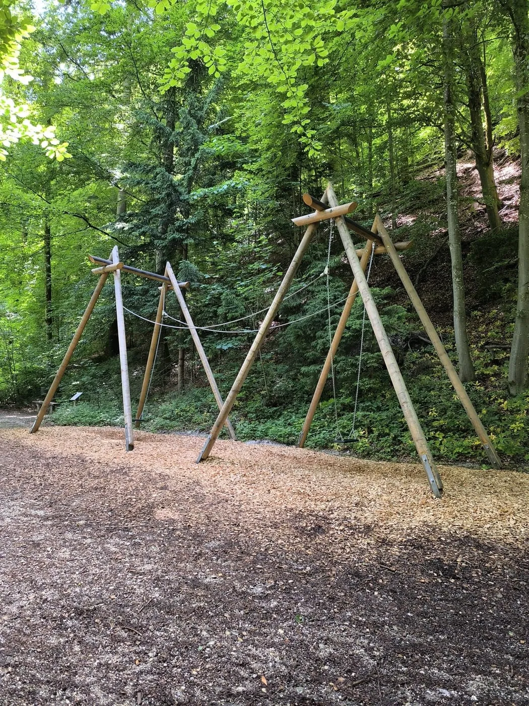 Der "Weg der Sinne" – ein Erlebnis für Groß und Klein auf der Luisenhöhe