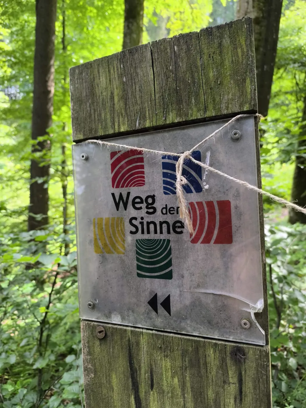 Der "Weg der Sinne" – ein Erlebnis für Groß und Klein auf der Luisenhöhe