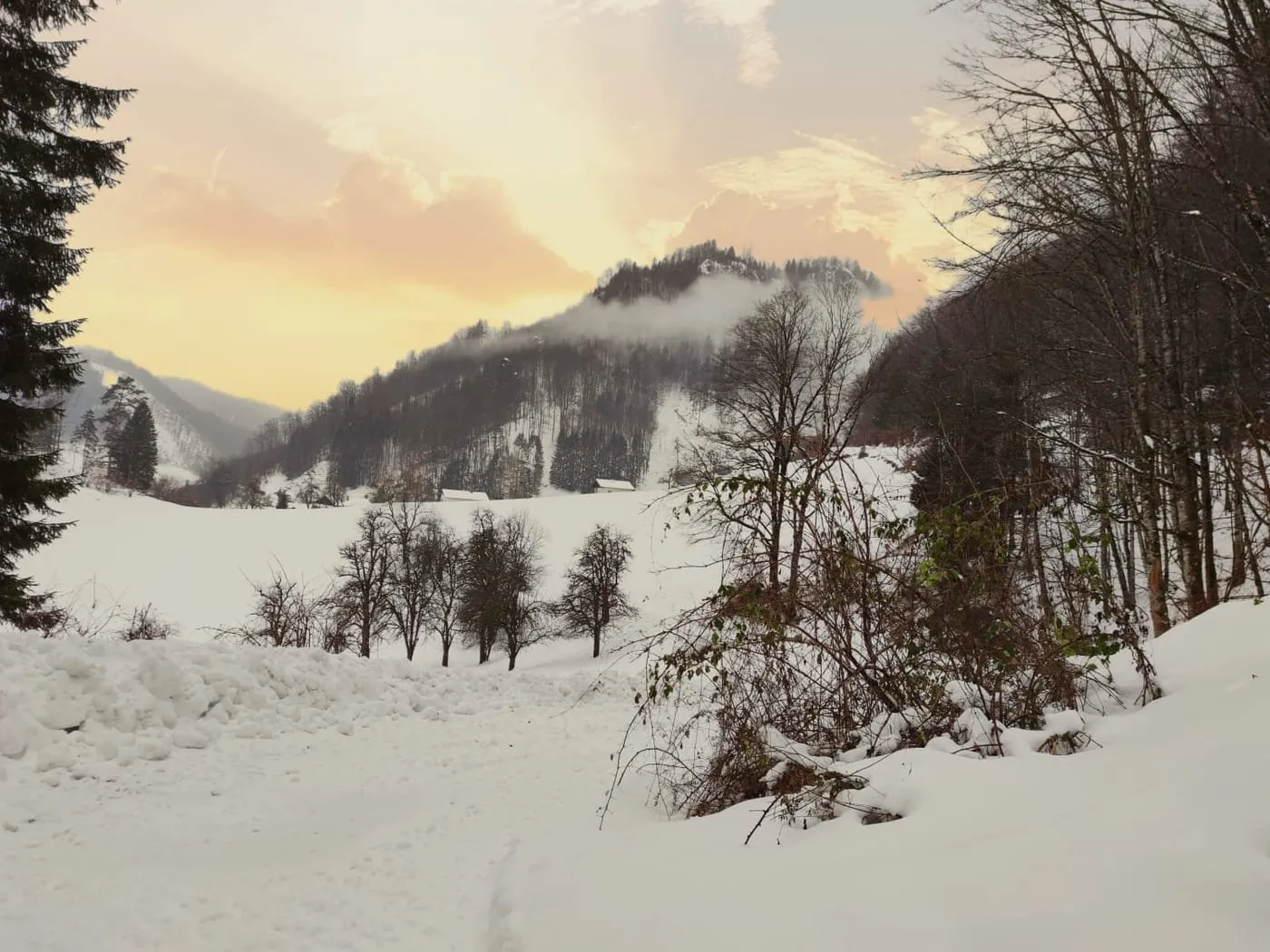 Ebenwieselstein (827m) via Pastorensteig