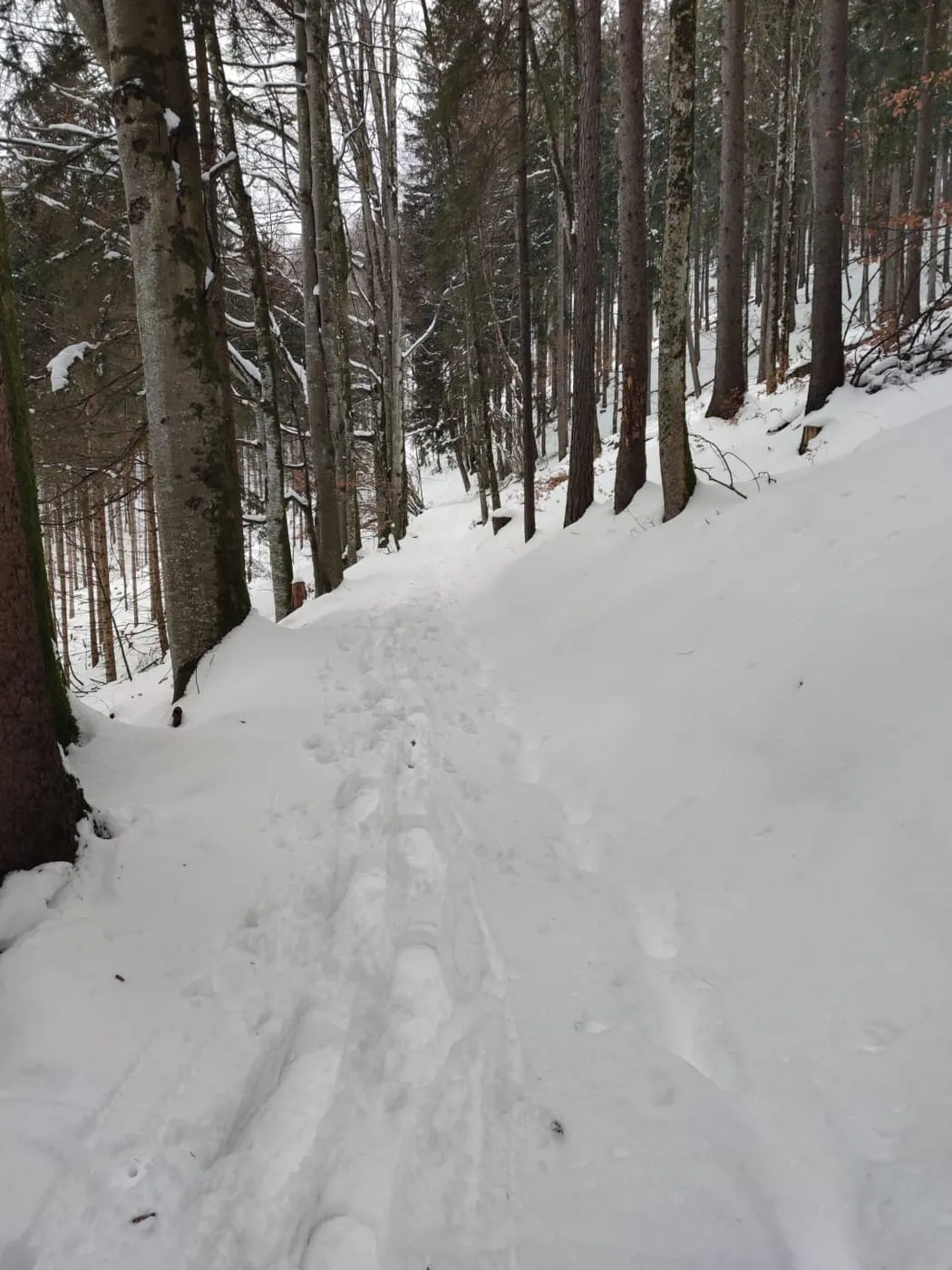 Ebenwieselstein (827m) via Pastorensteig