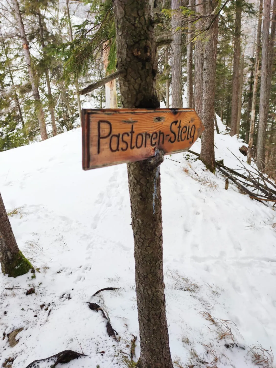 Ebenwieselstein (827m) via Pastorensteig