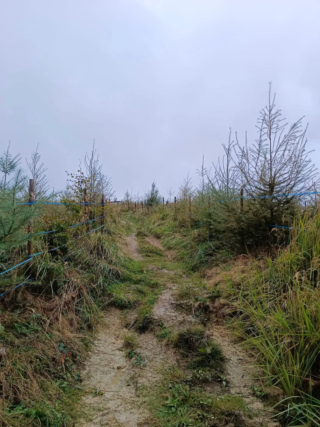 Eiskogel (1087m)