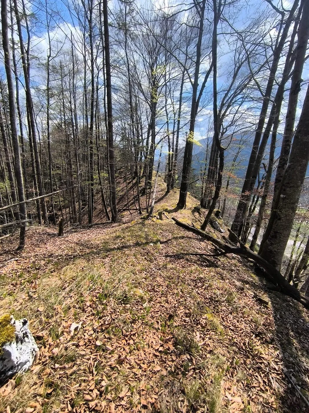 Falkenstein (737m)