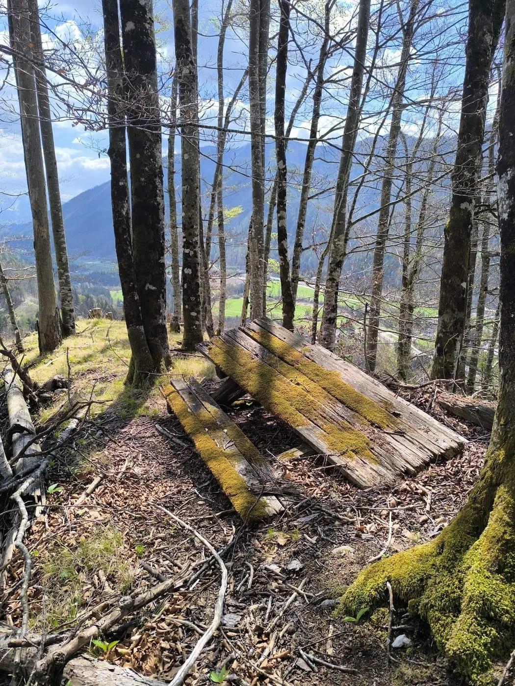 Falkenstein (737m)