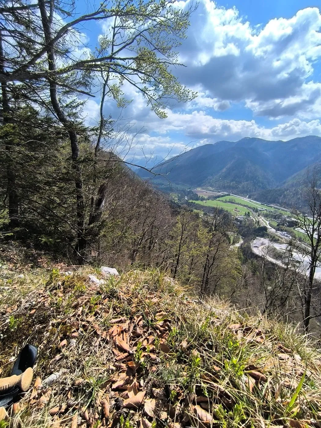 Falkenstein (737m)