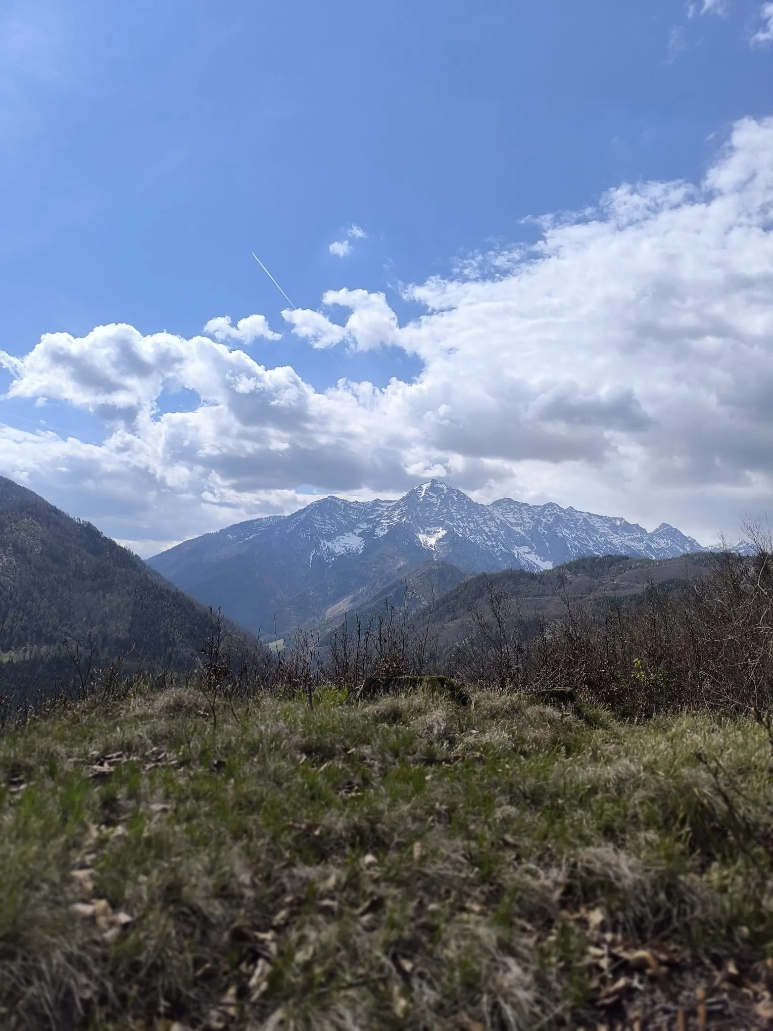 Falkenstein (737m)