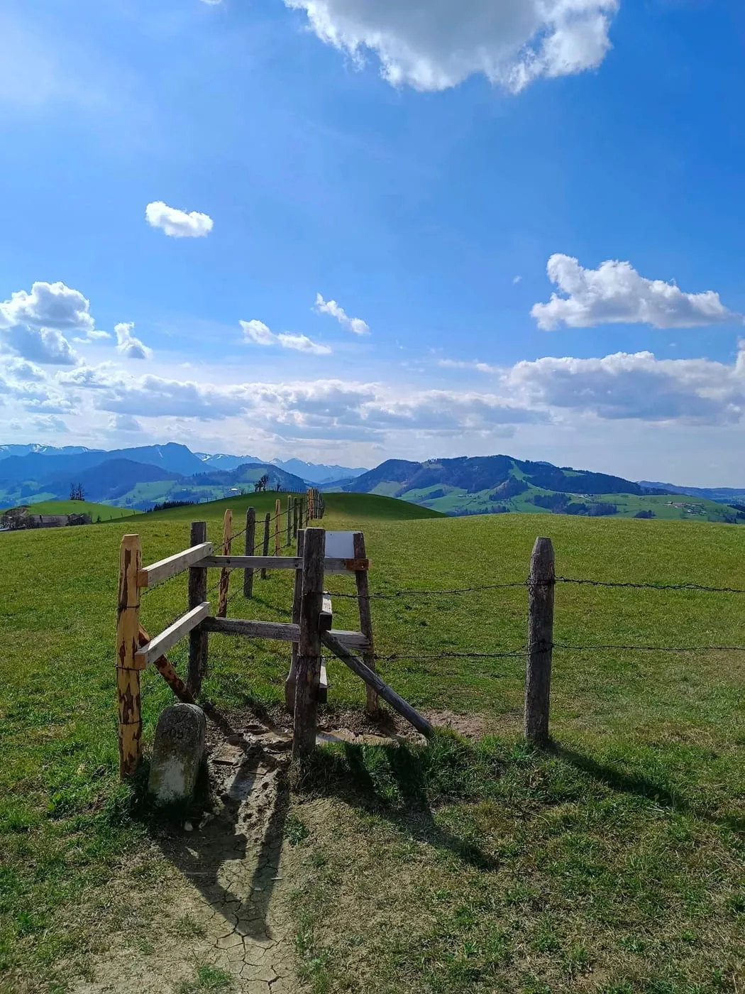 Hinweis Kühe!