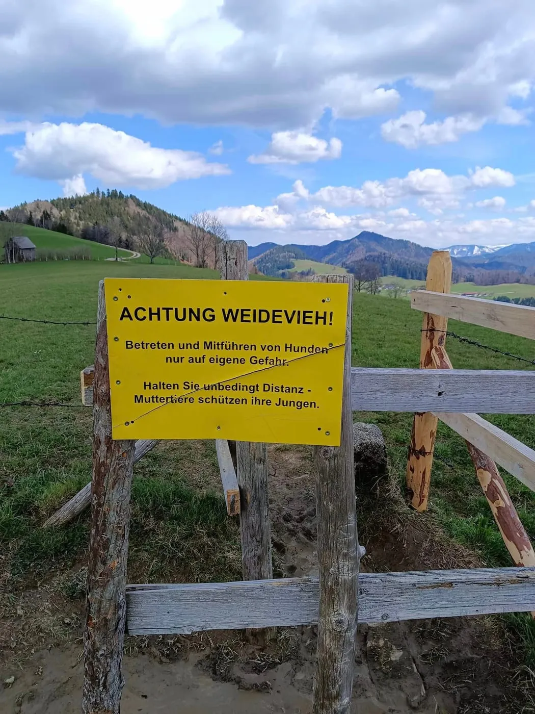 Freithofbergalm