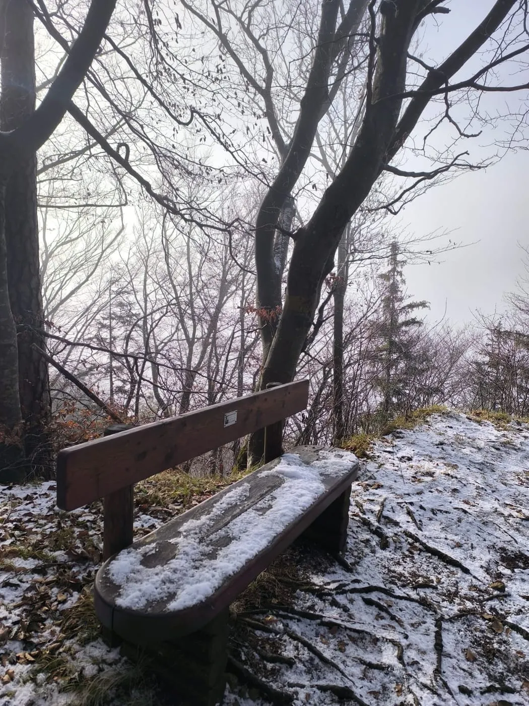 Blick zur Burg