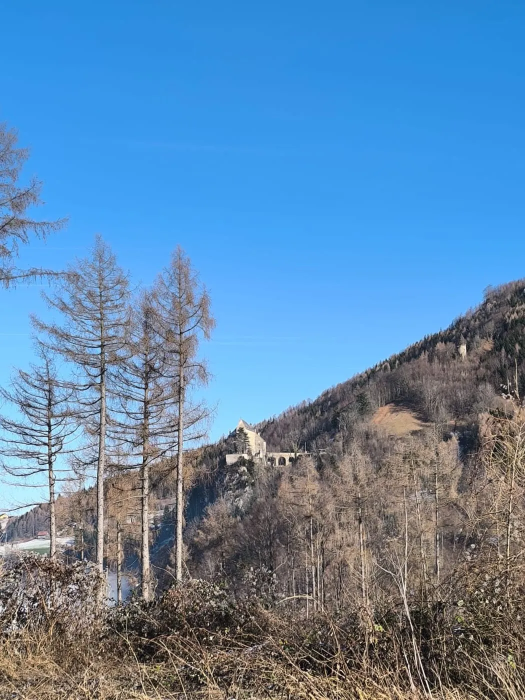 Pröller