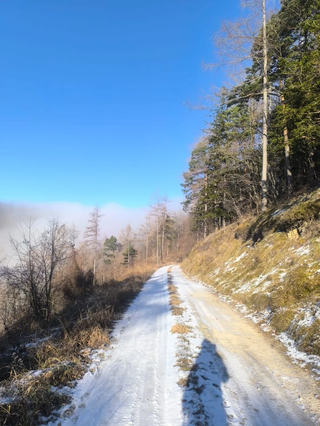 Vom Georgenberg - Pröller - Kessing (745m) - Tour in Micheldorf