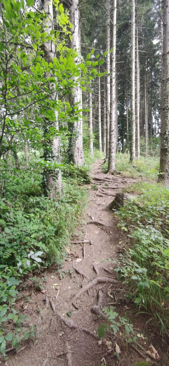 Grillenparz (840m)
