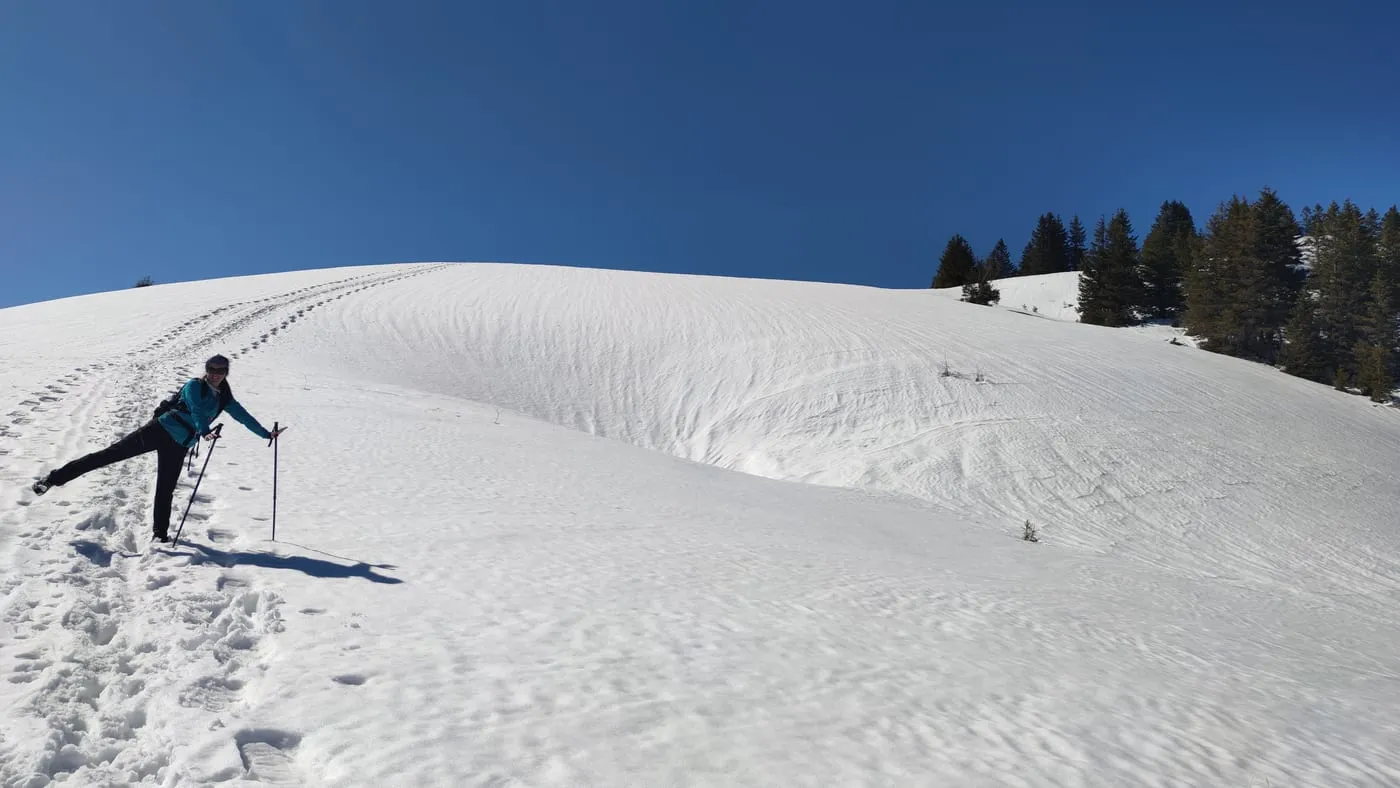Haderlauskögerl (1547m) & Rotgsol (1560m) im Reichraminger Hintergebirge