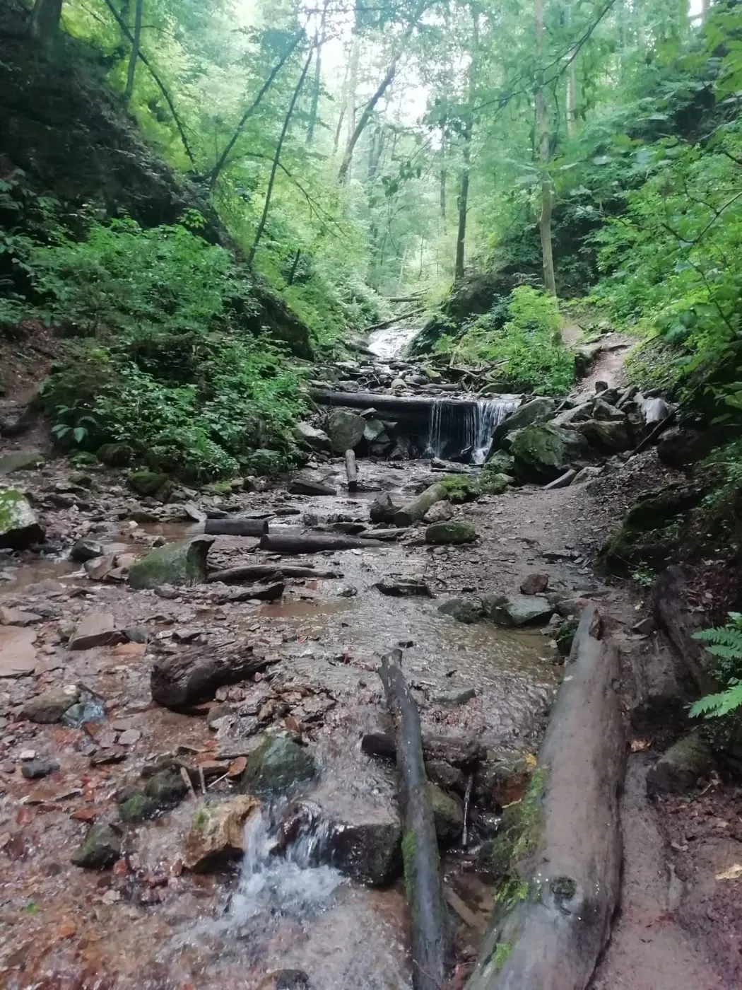 Heiligengeistklamm & Altenbachklamm (Südsteiermark)