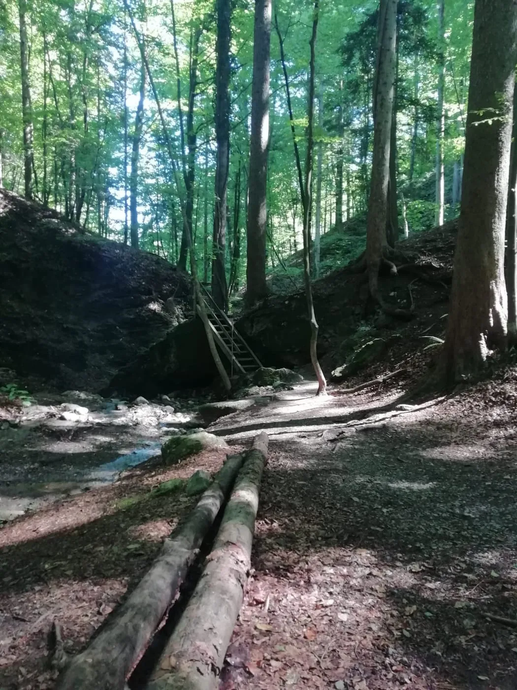 Heiligengeistklamm & Altenbachklamm (Südsteiermark)