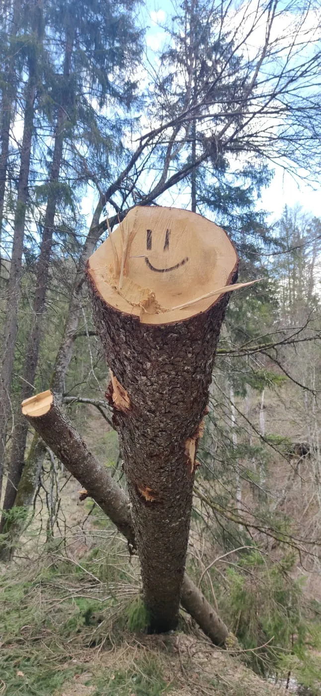 Wanderung zum Herrentisch (Steyrling)