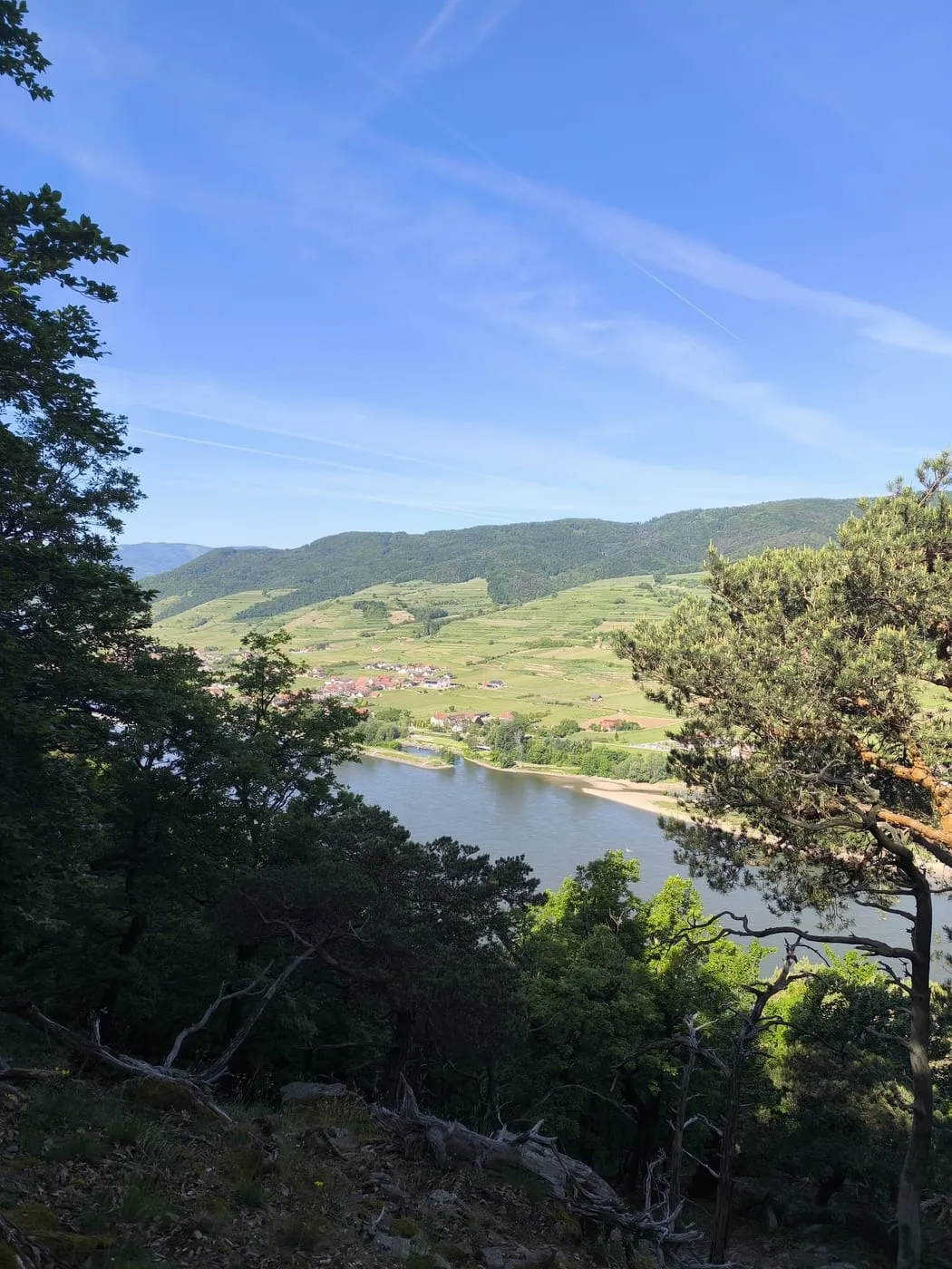 Aussichtswarte