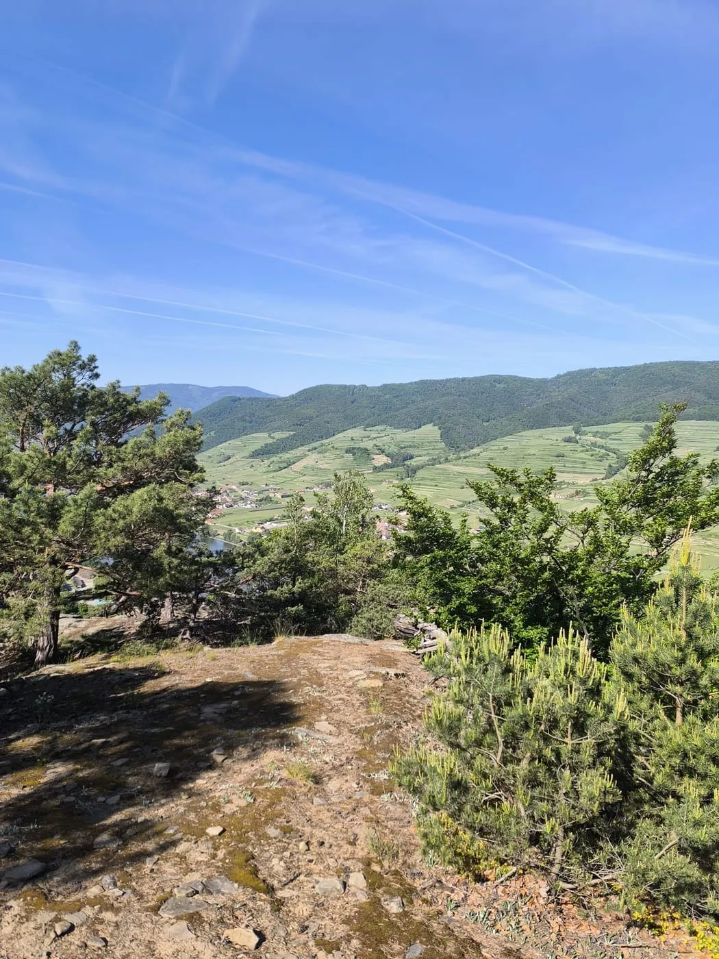 Hirschwand & Seekopf (Wachau)Felsiger Aufstieg mit Aussichtskrone