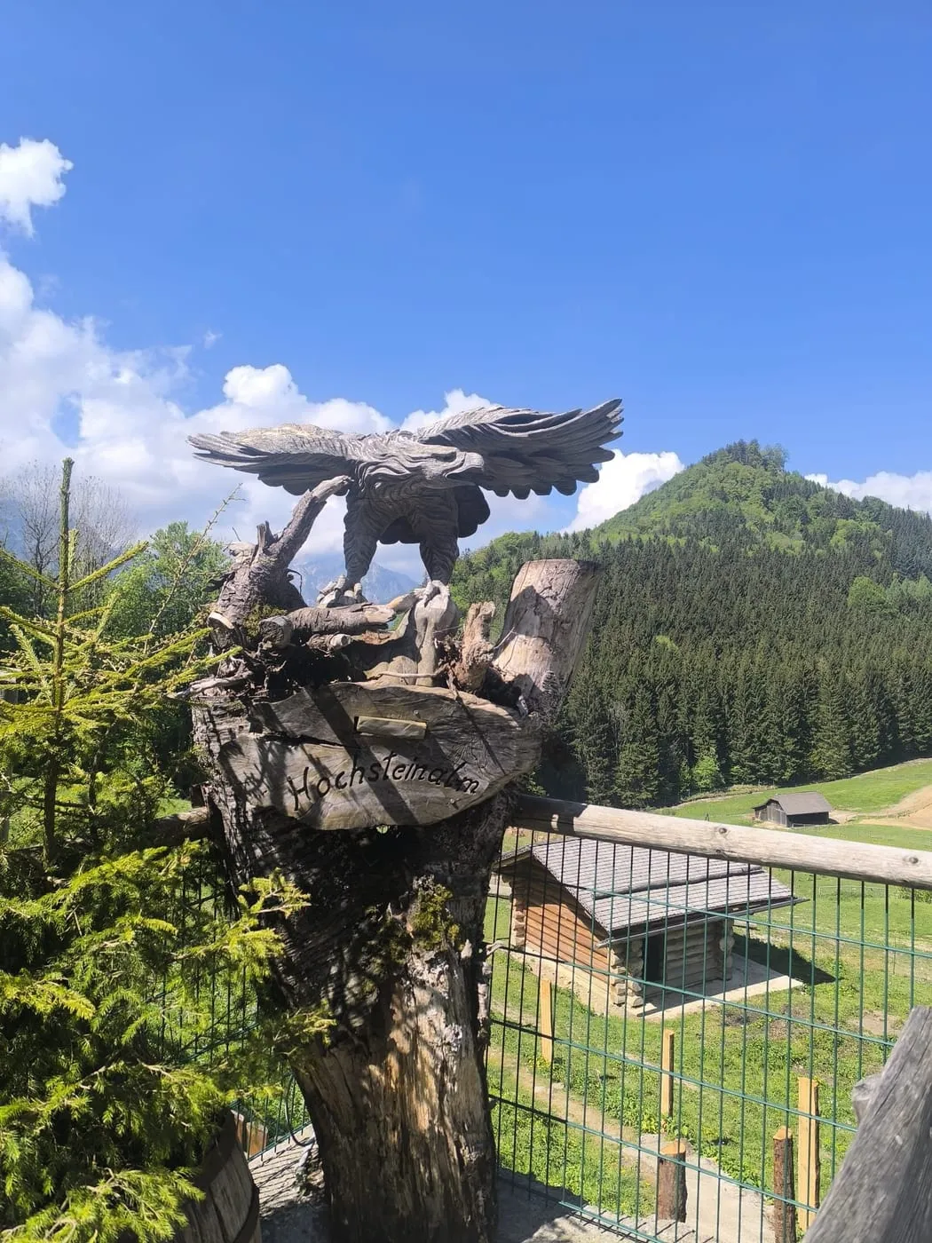 Hochsteinalm
